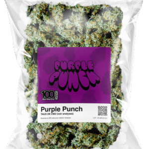 Kjøp Purple Punch Cannabis for Kroniske smerter i Norge