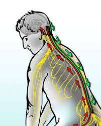 Kjøp medisiner mot kroniske smerter på nett i Norge