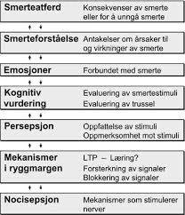 kjøp piller mot moderate til sterke smerter fra oss