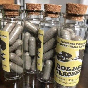 kjøp psykedeliske sopp mot angst og depresjon i Norge