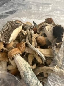 kjøp psilocybin sopp/magisk sopp i Norge